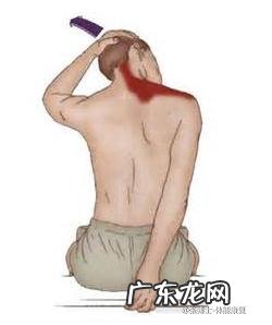 在健身房练肩,做哪些运动效果好?