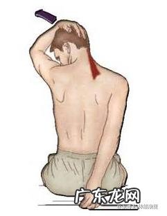 在健身房练肩,做哪些运动效果好?