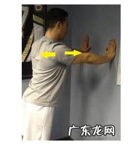 在健身房练肩,做哪些运动效果好?