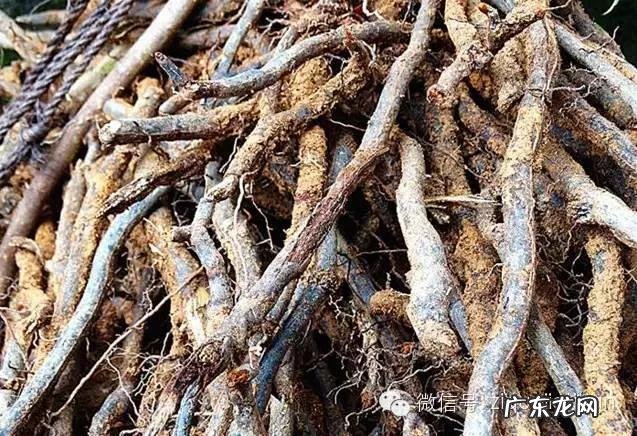 70、80后的朋友们,你们还记得小时候都吃什么喝什么么?