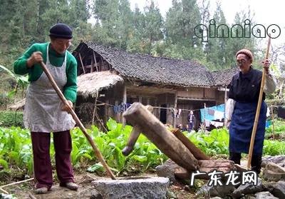 70、80后的朋友们,你们还记得小时候都吃什么喝什么么?