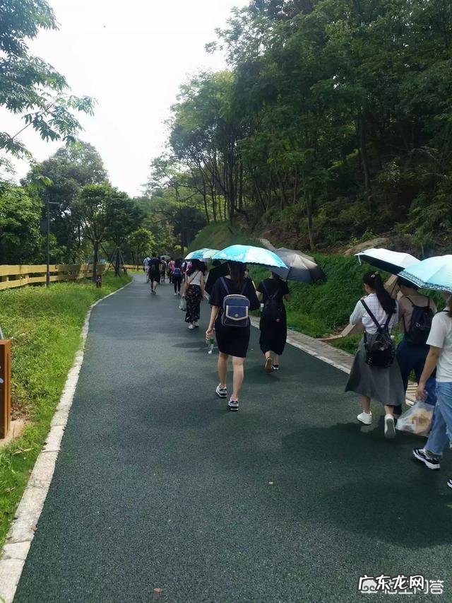 你喜欢健身吗坚持了多久了