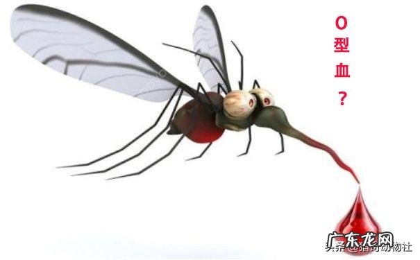 喝酒后到底要多长时间开车,才不会查出酒驾呢?