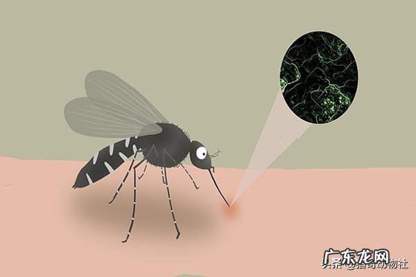 喝酒后到底要多长时间开车,才不会查出酒驾呢?