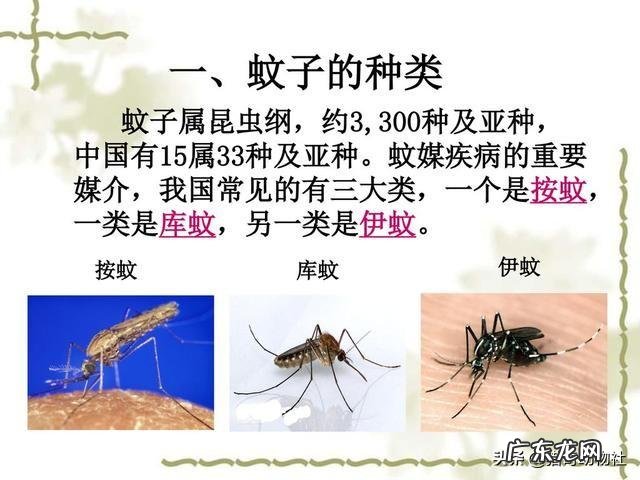 喝酒后到底要多长时间开车,才不会查出酒驾呢?