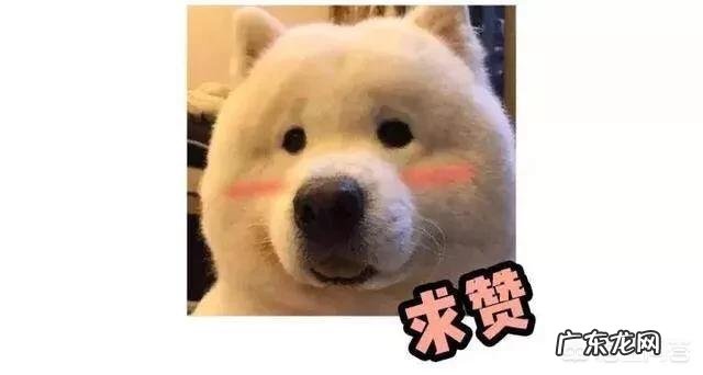 白鞋子配什么颜色袜子好看?