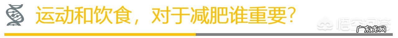 已经办了健身卡,怎么做才能在四个月内瘦二十斤?