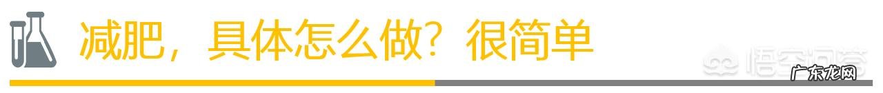 已经办了健身卡,怎么做才能在四个月内瘦二十斤?