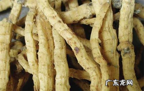 玉竹山楂真的有降脂减肥的功效吗?