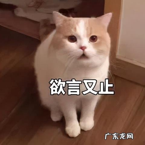 裹保鲜膜真的能减肥吗 科学的减肥方法有哪些