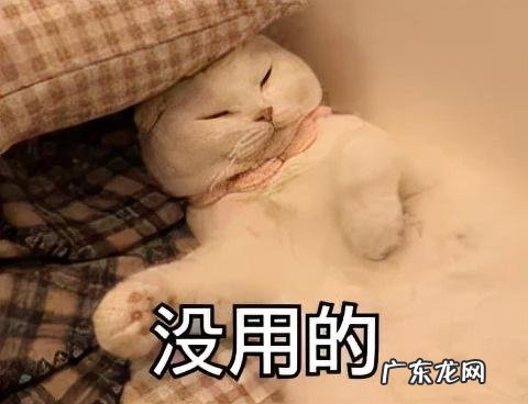 裹保鲜膜真的能减肥吗 科学的减肥方法有哪些