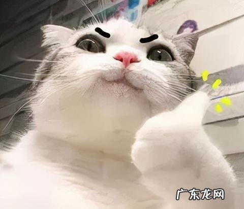 裹保鲜膜真的能减肥吗 科学的减肥方法有哪些