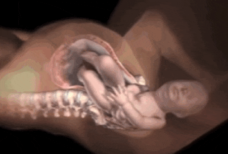 什么是自然分娩?自然分娩的过程是什么样的?