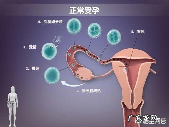在备孕期间，怎样才能怀上健康聪明的宝宝？