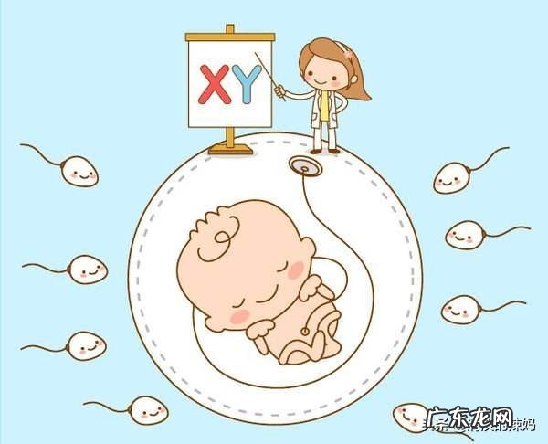 在备孕期间,怎样才能怀上健康聪明的宝宝?