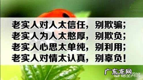 为什么很多老实人不爱说话?