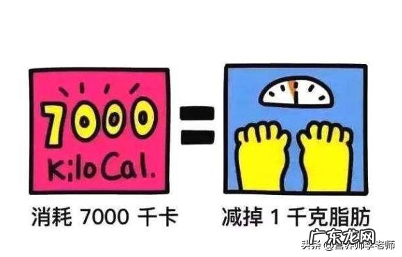 最近在减肥,别人和我说早吃碳水午吃肉,这句话对不对