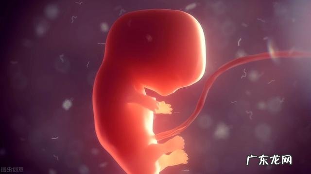 备孕期间有什么需要注意的