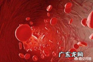 冠心病是大病吗，可不可以列入慢牲病范畴？