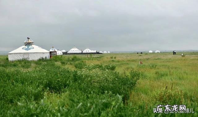 农村有哪些野菜堪称美食?能否晒晒照片?