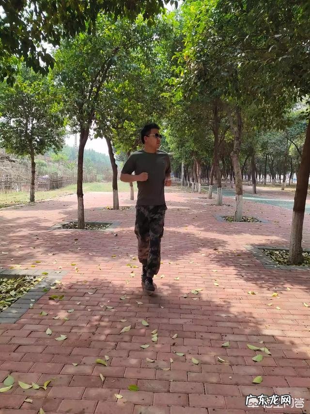 晚餐正常吃青菜和肉，但不吃米饭和面食，可以减肥吗？