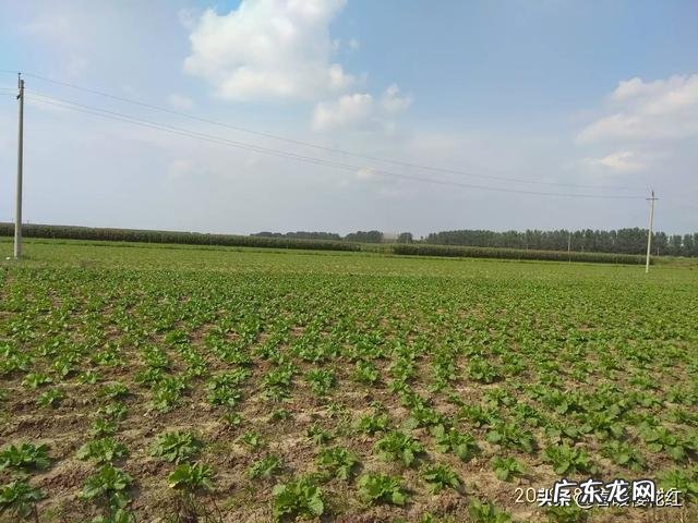 为什么我们在减肥的路上渐行渐远?