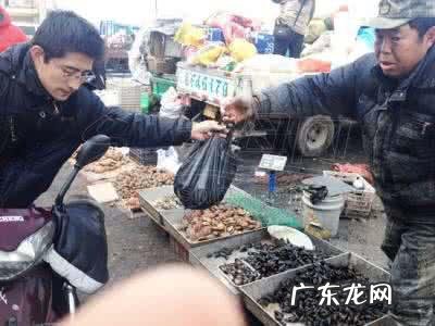 体重秤上的隐屏和不隐屏有什么区别