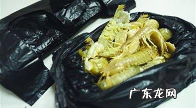 体重秤上的隐屏和不隐屏有什么区别