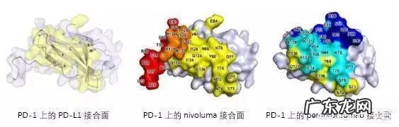 降脂药一直用阿托伐他汀,可以改成瑞舒伐他汀吗?有什么区别吗?