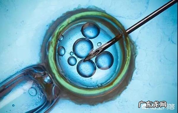 手冲咖啡到底是什么?有专业人士聊一聊吗?