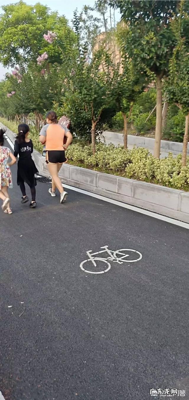 九岁小男孩在健身房能做哪些健身器械来减脂增肌? 健身房减脂增肌塑形