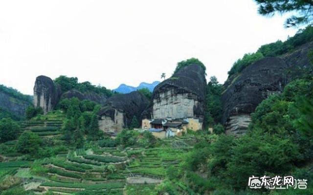 喝茶人常说的牛肉、马肉是什么茶?