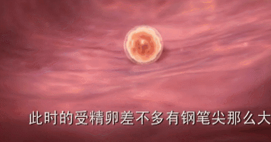 准备要宝宝了,是每天都要吃叶酸吗?