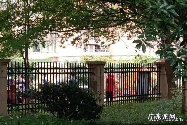 来女士前夫发声：正考虑前妻小女儿监护事宜，是真心还是有所图？