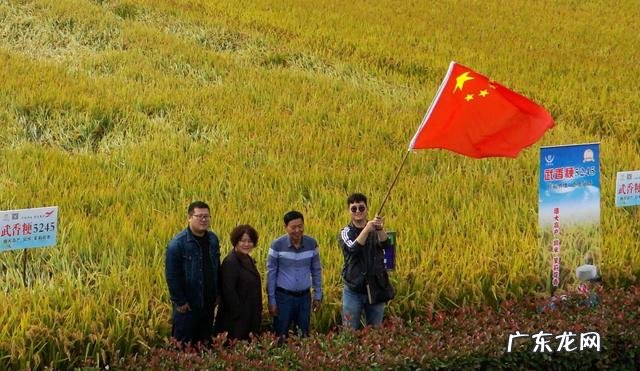 “秋老虎”已过,上海天气为何依然炎热?何时才能迎来凉意?