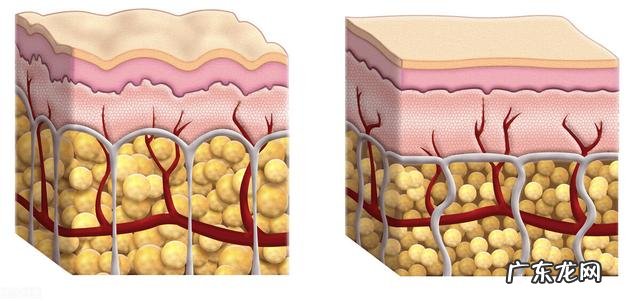 健身中人体的脂肪是怎么分解排出体外的? 运动健身是怎么把脂肪消耗掉的