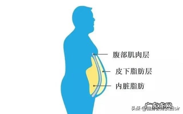 健身中人体的脂肪是怎么分解排出体外的? 运动健身是怎么把脂肪消耗掉的