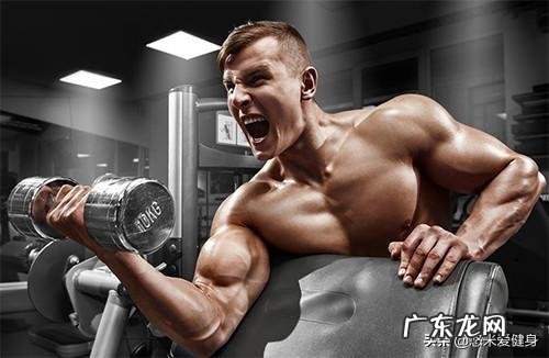 刚去健身房怎么适应,感觉自己什么都想练,什么都想试,怎么办?