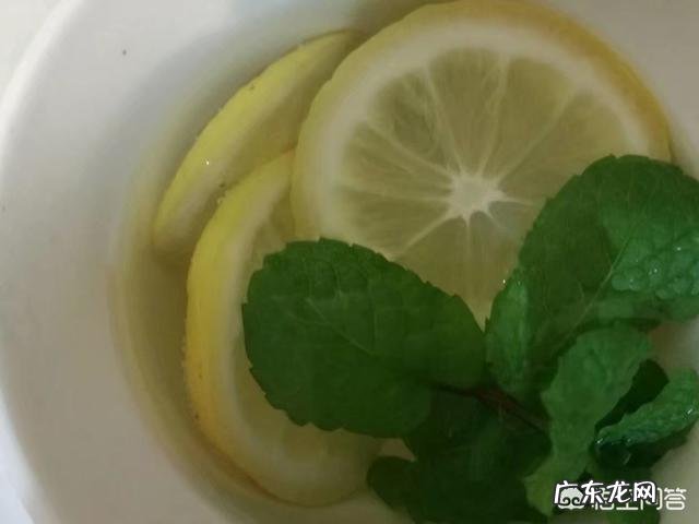 夏天有什么好喝又不长胖的冷饮?