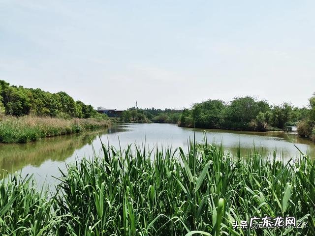 劳动节的时候川内哪里适合去旅游，非自驾？