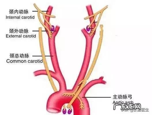 脑供血不足，会有什么表现怎么改善