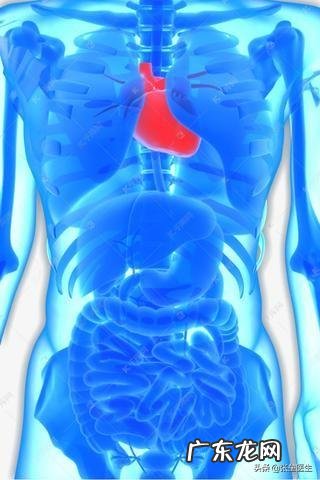 脑供血不足，会有什么表现怎么改善