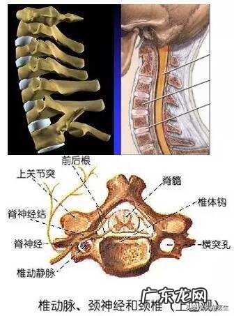 脑供血不足，会有什么表现怎么改善