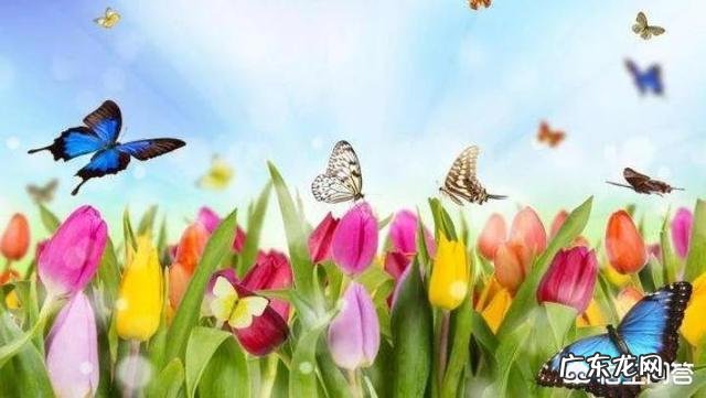 你们的老公都有哪些坏习惯