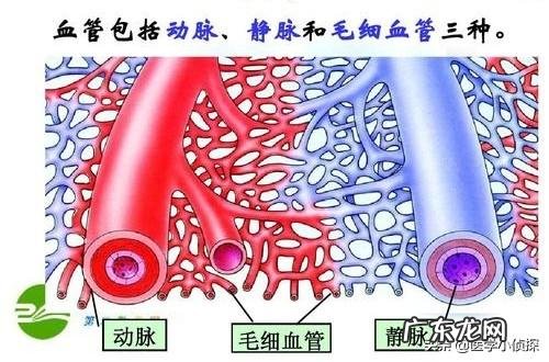 会不会后悔做过痔疮手术?
