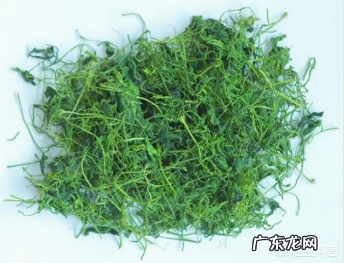 绞股蓝适合一年四季泡水喝吗?