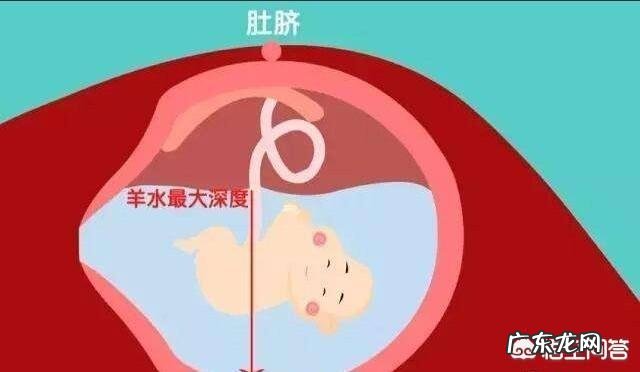 怀孕臃肿怎么办?有什么好的消肿方法吗?