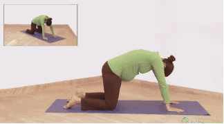 怀孕臃肿怎么办?有什么好的消肿方法吗?