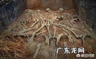 什么是“朝天女”?为什么后宫妃子都谈之色变?