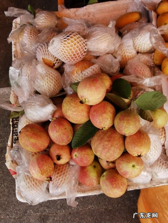 春季柑橘施哪种复合肥好？ 柑橘春肥施什么肥最好